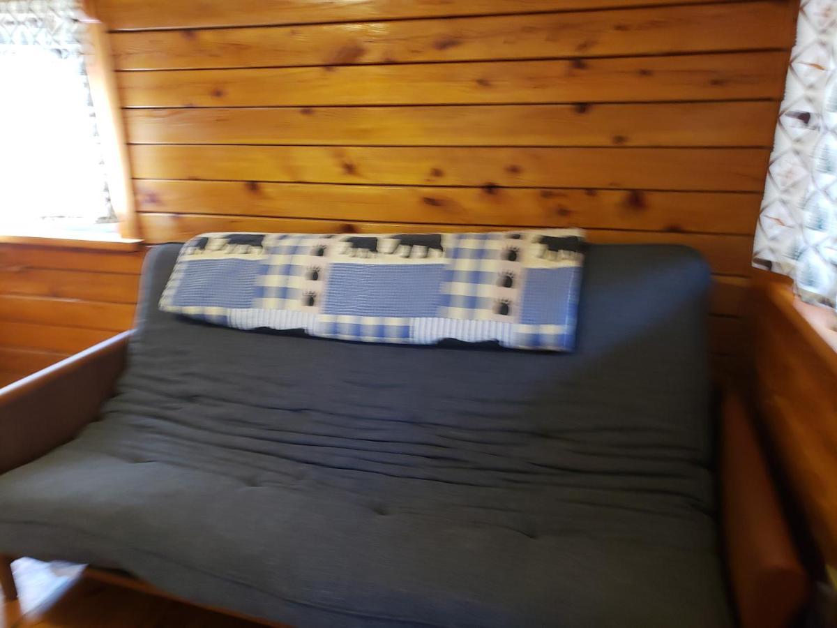 Shenandoah 1 Summer Camp In The Laurel Highlands Holiday home